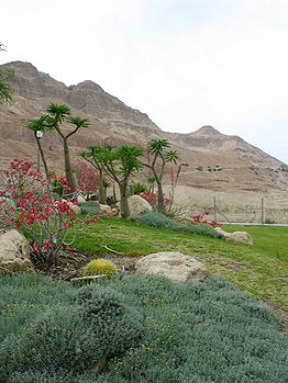 Botanische tuinen in de kibboets