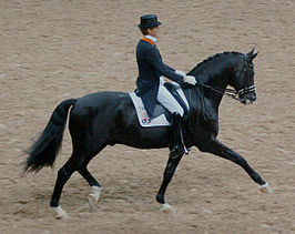 Edward Gal met Gribaldi, wereldbekerfinale 2007, Las Vegas