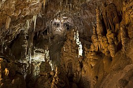 La Grotta delle Torri nel Comune di Duino-Aurisina