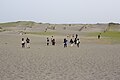 Nakatajima Sand Dunes