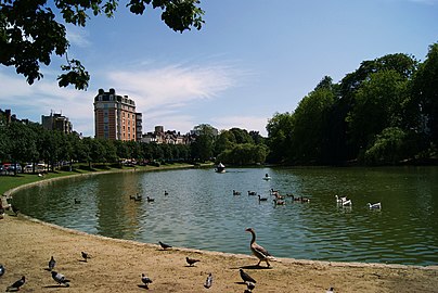 View of the Ixelles Ponds towards the Place Eugène Flagey/Eugène Flageyplein