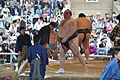 靖国神社奉納大相撲 相手は千代大龍関（2017年4月17日撮影）