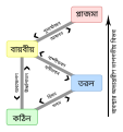 বাংলা • bengalí