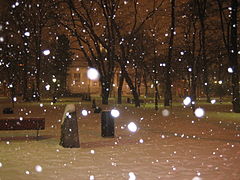 Snowflakes illuminated by flash in the Old Church Park in central Helsinki, Finland