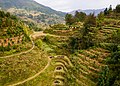 27 Longsheng Rice Terraces November 2017 021 uploaded by King of Hearts, nominated by King of Hearts,  15,  0,  1