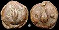 Uncia (coin) (yaklaşık MÖ 275–270 )