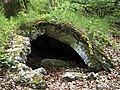 Zwergenloch oder Quellungshöhle am Sachsenstein im Südharzer Gipskarst