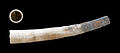 * Nomination Shell of a Pliocene Scaphopod, Dentalium fossile --Llez 08:40, 2 March 2013 (UTC) * Promotion Good quality. --NorbertNagel 10:46, 2 March 2013 (UTC)