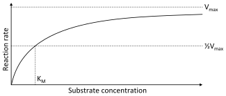 A two dimensional plot of substrate concentration (x axis) vs. reaction rate (y axis). The shape of the curve is hyperbolic. The rate of the reaction is zero at zero concentration of substrate and the rate asymptotically reaches a maximum at high substrate concentration.