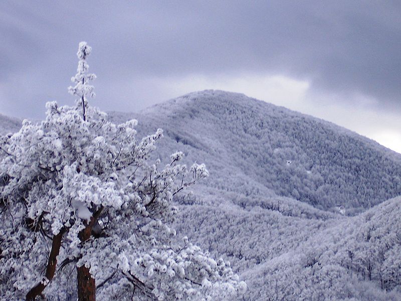 File:Snow scene at Shipka Pass 2.JPG