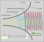 Cochlear Function Diagram.jpg