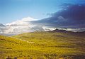 Falkland Islands: Upland.