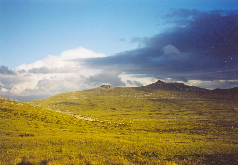 File:Upland.jpg