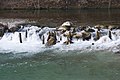 Reste der Römerbrücke bei Mainizza (Farra d’Isonzo)