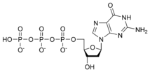 Chemical structure of deoxyguanosine triphosphate