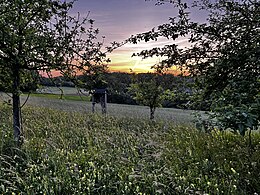 Blick vom Südsteinbruchweg zum Stupfelberg