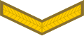 Lance corporal (South African Army)[47]