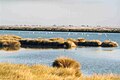 Doñana Nemzeti Park, Spanyolország