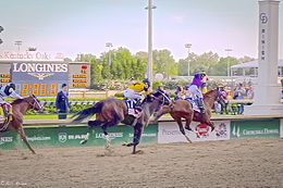 Three racehorses heading toward the finish line