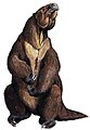 Megatherium americanum, um mamífero xenartro