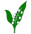 Muguet