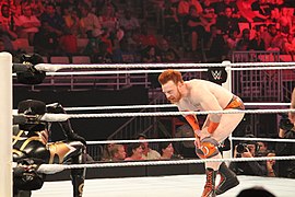 WWE Raw IMG 7440 (15168720027).jpg