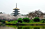 東湖桜花園