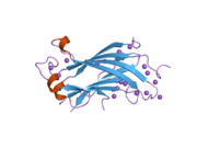 1yy6: The crystal structure of the N-terminal domain of HAUSP/USP7 complexed with an EBNA1 peptide