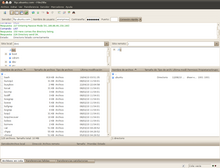 FileZilla 3.3.1.png