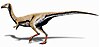 Limusaurus