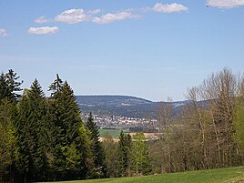 Udsigt over Neureichenau