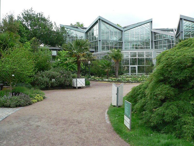 File:Palmengarten Tropicarium.jpg