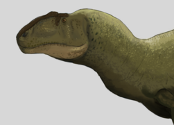 Shidaisaurus.png