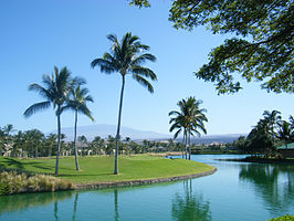 Waikoloa