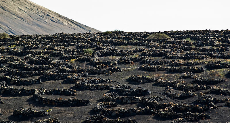 File:Vineyards La Geria IMGP1919.jpg