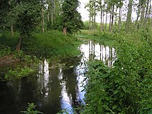 Photo de l’Antenne au moulin de Chazotte, vue vers Mesnac. La rivière est large de quelques mètres.