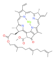 bacteriochlorophyll g