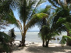 Kiribati(019).JPG