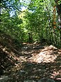 Vallon dans la chaîne du Pricopan