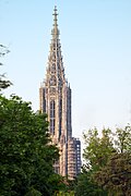 Ulm Minster as seen from the western city