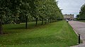 The avenue leading up to the house