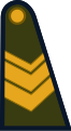 Sargento (Argentine Army)[26]