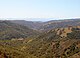 Henry Coe skyline