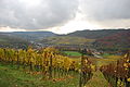 Gezicht op de Moezel, Luxemburg en Frankrijk