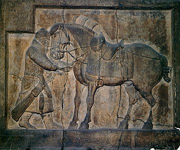 Portrait d'un cheval favori de Tang Taizong (r. 626 à 649) avec selle et étriers. Un général lui retire une flèche. Bas-relief, conception attribuée à Yan Liben. Tombe de l'empereur Taizong.