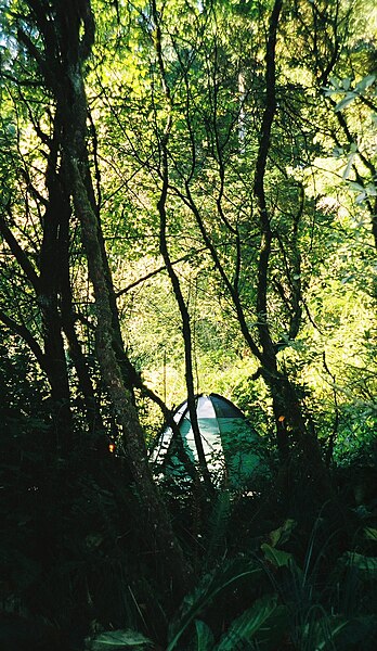 File:Honeyman State Park Camp.jpg