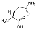 Glutammina (Gln / Q)