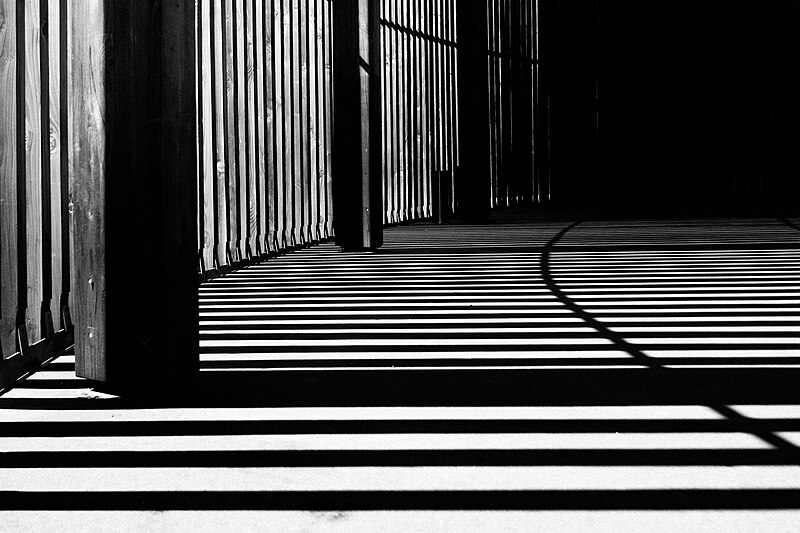 File:Shadow play (Unsplash).jpg