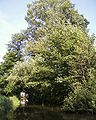 Ein Kanal im Spreewald