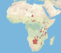 Distribución de L. pictus